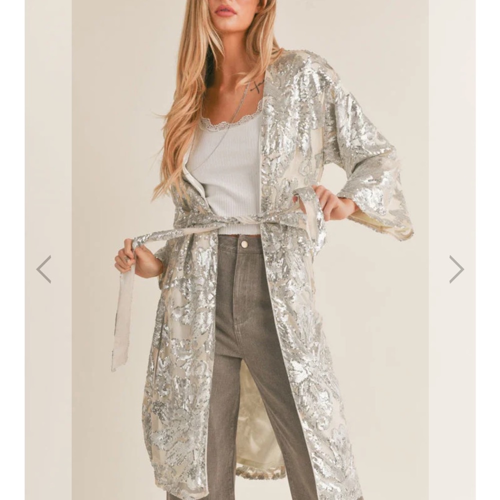 Elegant Silver Robe (wedding)